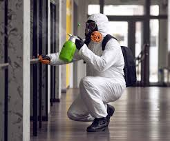 Best Black Mold Removal in Riverside, PA